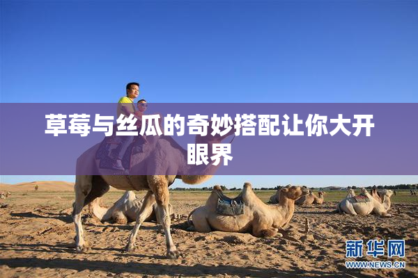 草莓与丝瓜的奇妙搭配让你大开眼界