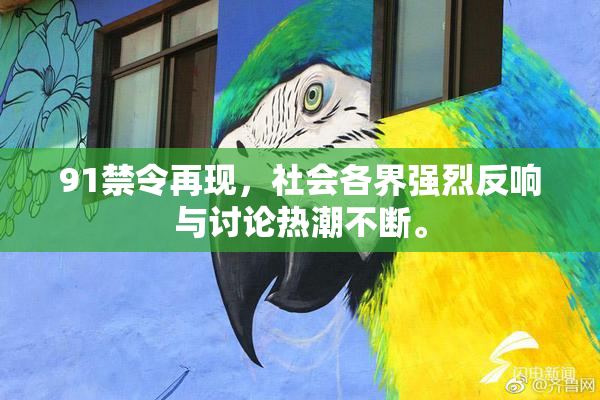 91禁令再现，社会各界强烈反响与讨论热潮不断。