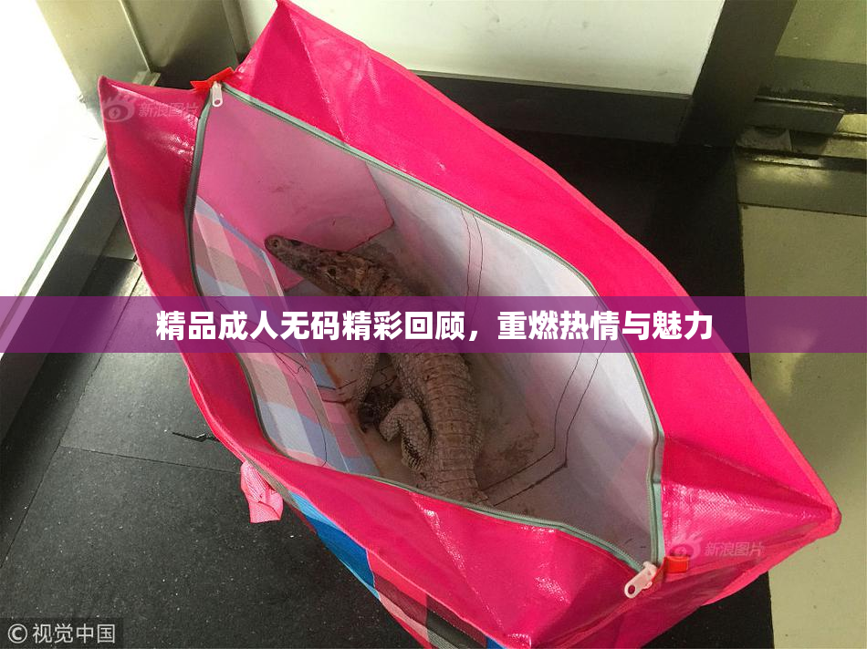 精品成人无码精彩回顾，重燃热情与魅力