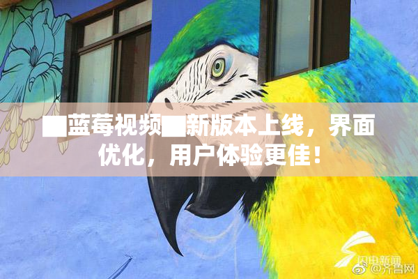 ▇蓝莓视频▇新版本上线，界面优化，用户体验更佳！