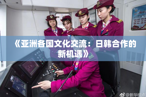 《亚洲各国文化交流：日韩合作的新机遇》