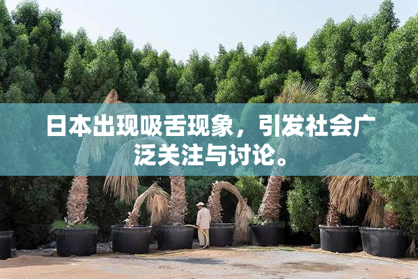 日本出现吸舌现象，引发社会广泛关注与讨论。