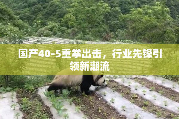 国产40-5重拳出击，行业先锋引领新潮流