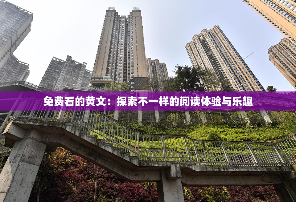 免费看的黄文：探索不一样的阅读体验与乐趣