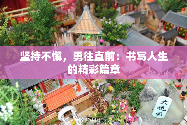 坚持不懈，勇往直前：书写人生的精彩篇章