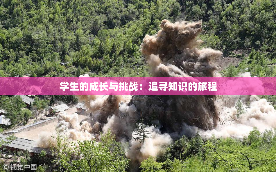 学生的成长与挑战：追寻知识的旅程