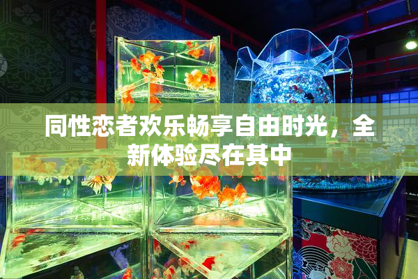 同性恋者欢乐畅享自由时光，全新体验尽在其中