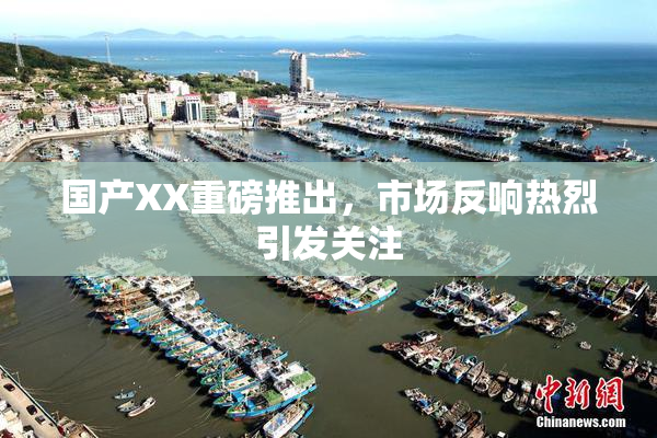 国产XX重磅推出，市场反响热烈引发关注