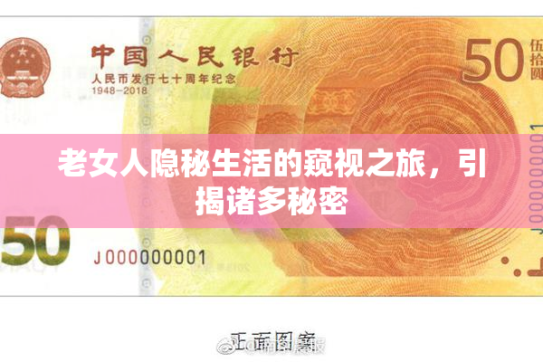 老女人隐秘生活的窥视之旅，引揭诸多秘密
