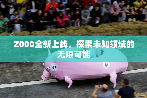 Z000全新上线，探索未知领域的无限可能