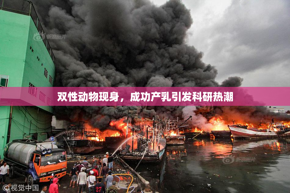双性动物现身，成功产乳引发科研热潮