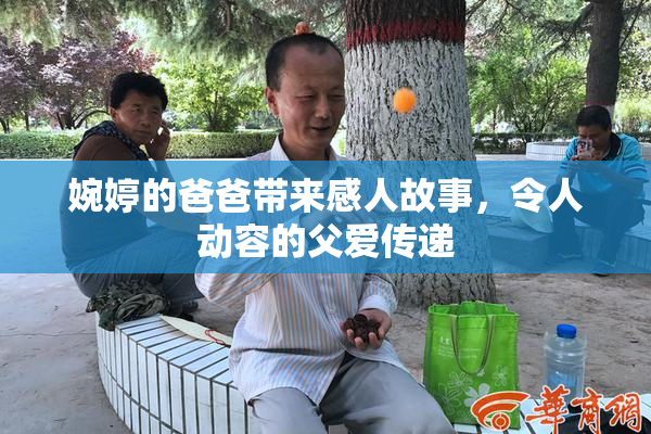婉婷的爸爸带来感人故事，令人动容的父爱传递