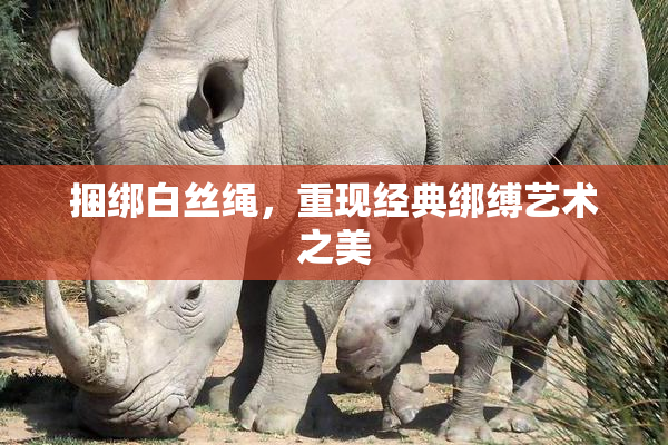 捆绑白丝绳，重现经典绑缚艺术之美
