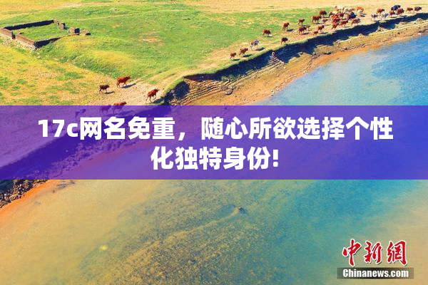 17c网名免重，随心所欲选择个性化独特身份!