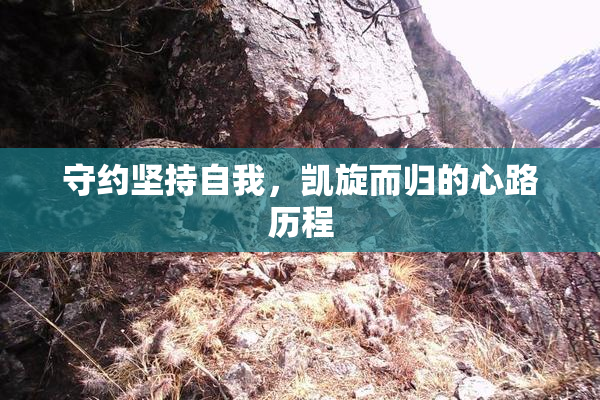守约坚持自我，凯旋而归的心路历程