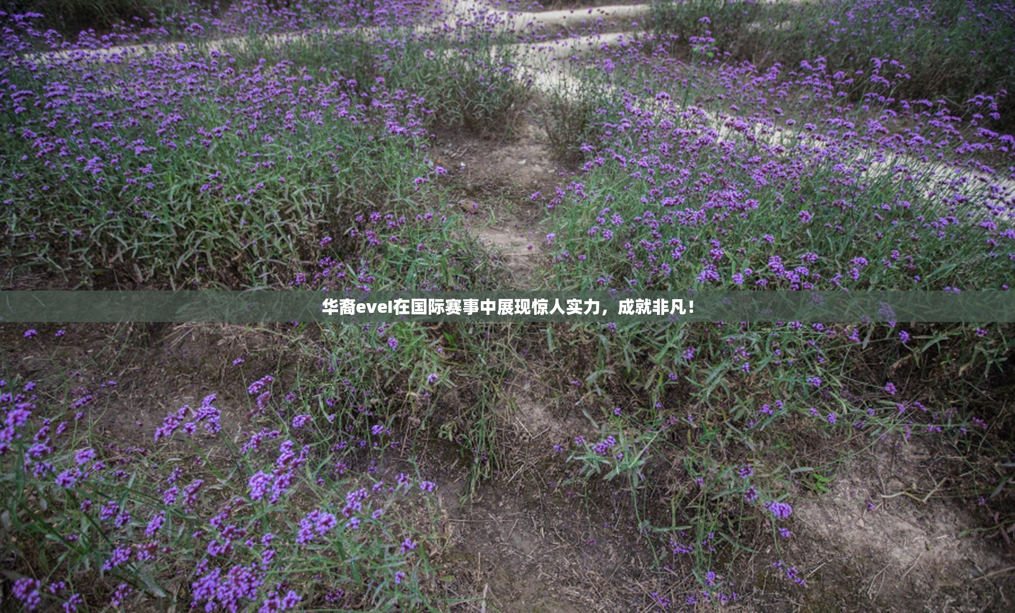 华裔eveI在国际赛事中展现惊人实力，成就非凡！