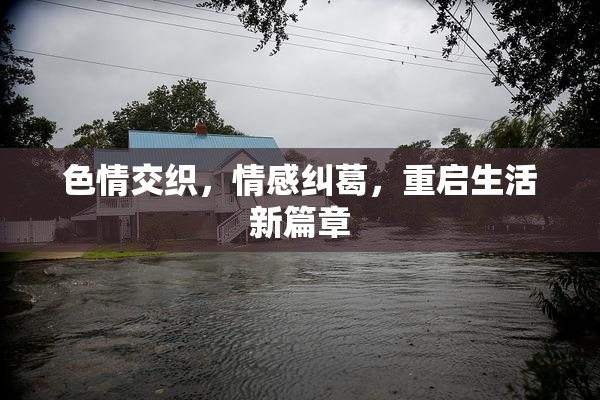 色情交织，情感纠葛，重启生活新篇章