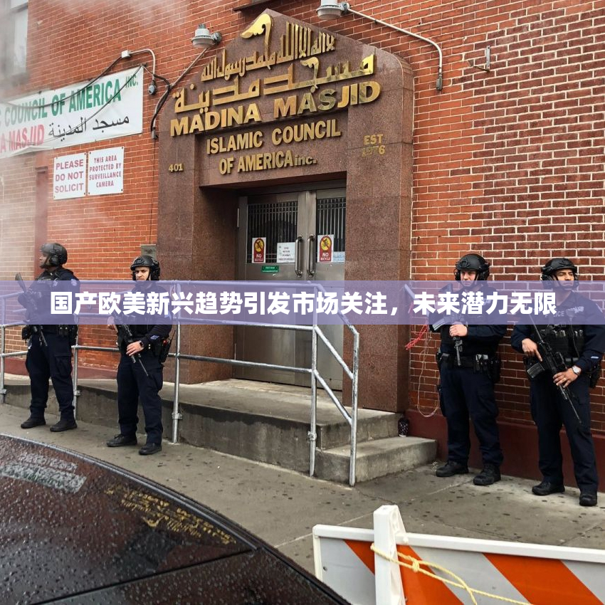 国产欧美新兴趋势引发市场关注，未来潜力无限