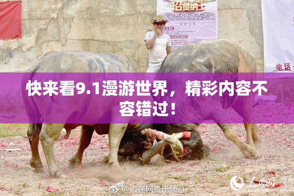快来看9.1漫游世界，精彩内容不容错过！