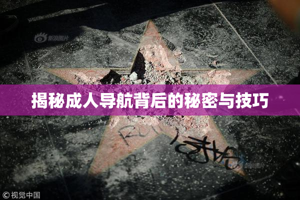 揭秘成人导航背后的秘密与技巧