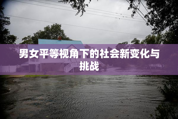男女平等视角下的社会新变化与挑战