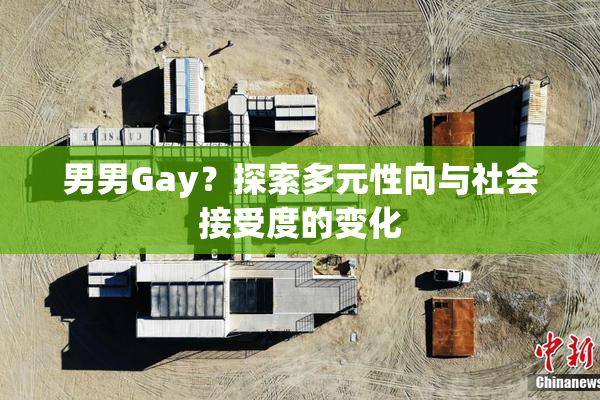 男男Gay？探索多元性向与社会接受度的变化