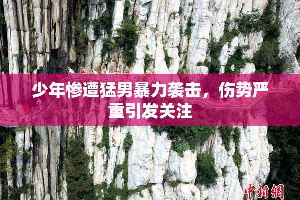 少年惨遭猛男暴力袭击，伤势严重引发关注