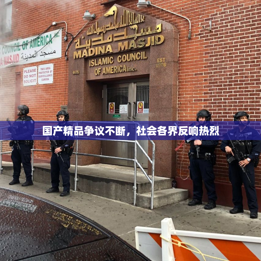 国产精品争议不断，社会各界反响热烈