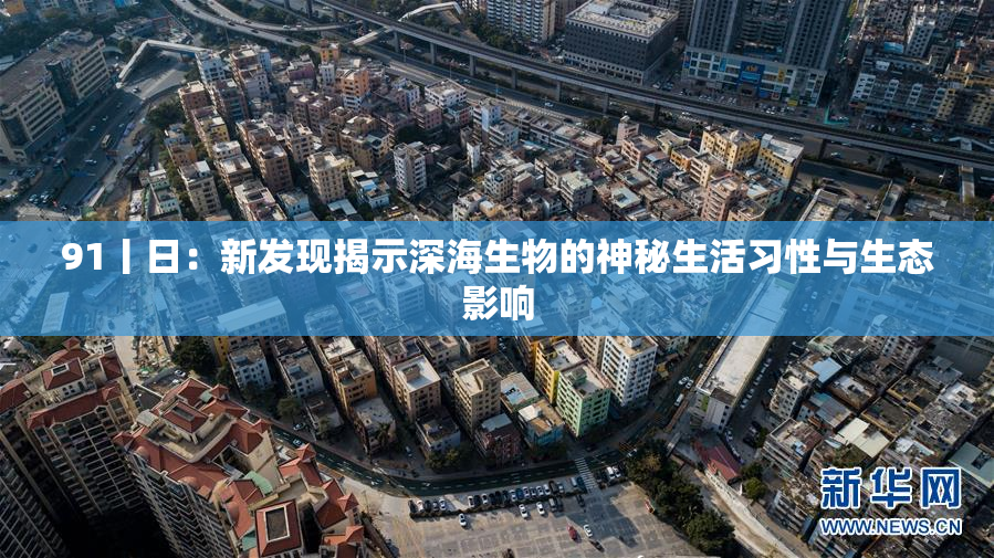 91丨日：新发现揭示深海生物的神秘生活习性与生态影响