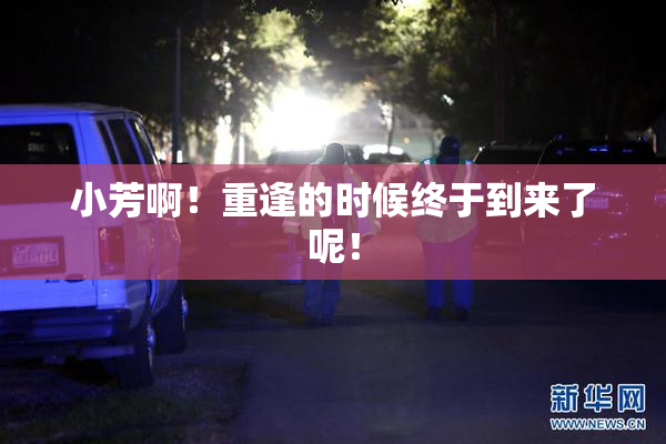 小芳啊！重逢的时候终于到来了呢！