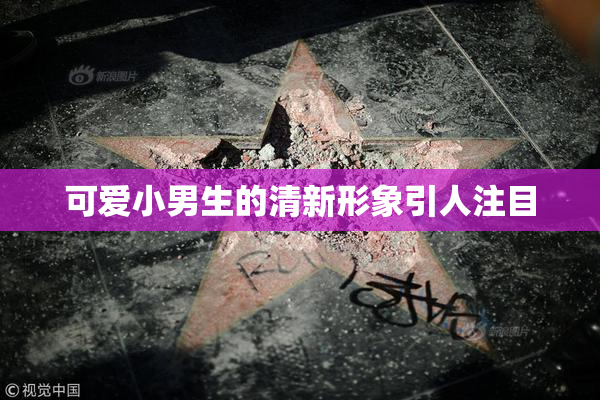 可爱小男生的清新形象引人注目