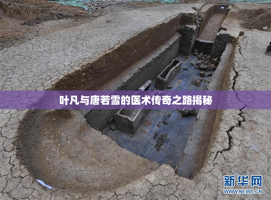 叶凡与唐若雪的医术传奇之路揭秘