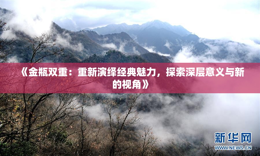《金瓶双重：重新演绎经典魅力，探索深层意义与新的视角》