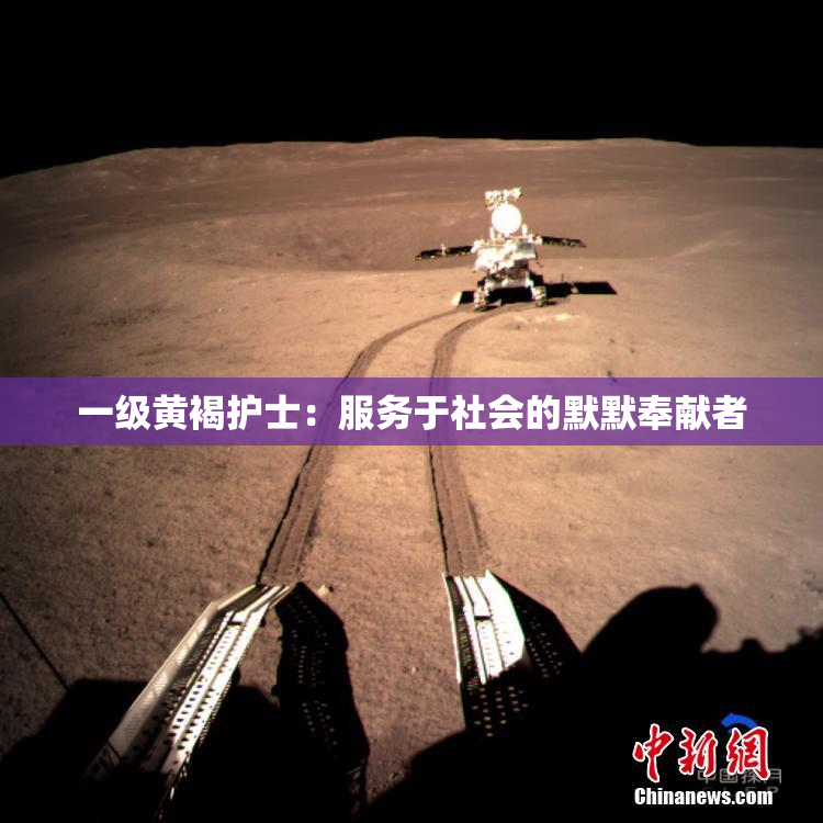 一级黄褐护士：服务于社会的默默奉献者
