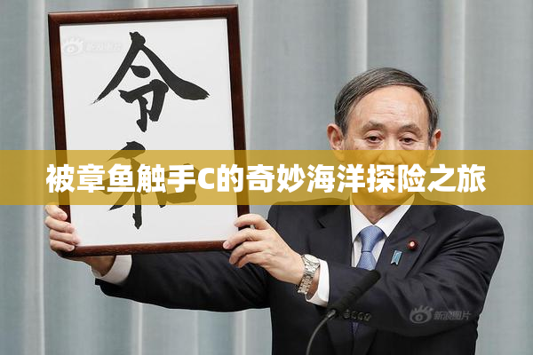 被章鱼触手C的奇妙海洋探险之旅