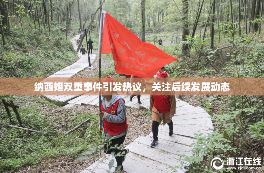 纳西妲双重事件引发热议，关注后续发展动态