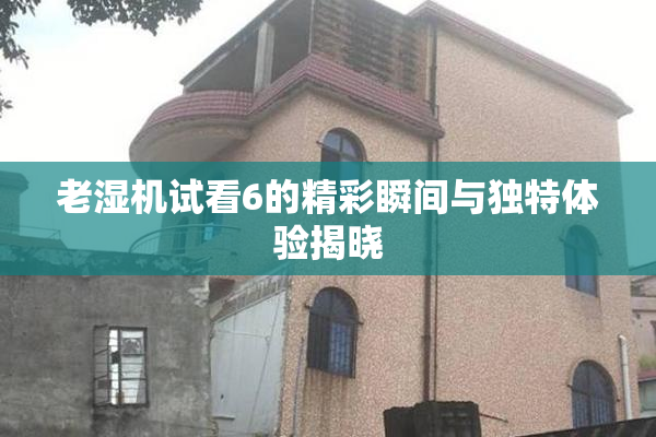 老湿机试看6的精彩瞬间与独特体验揭晓