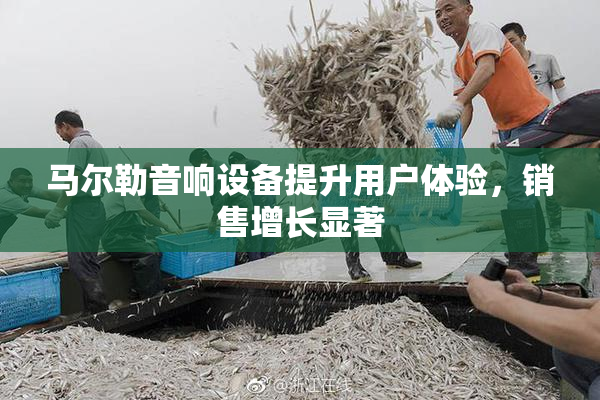 马尔勒音响设备提升用户体验，销售增长显著