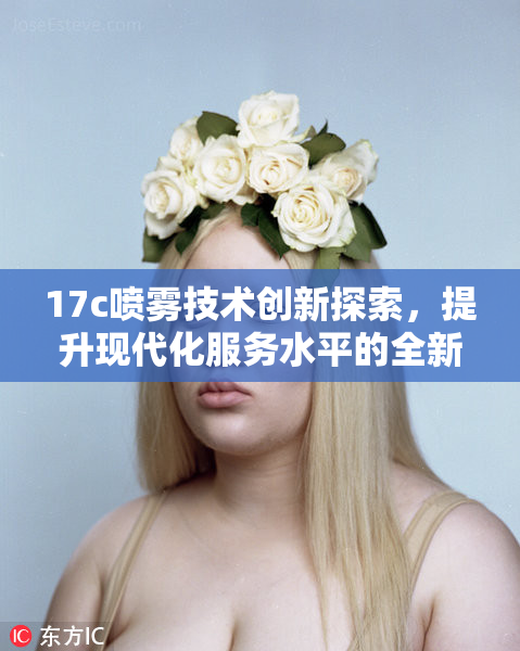 17c喷雾技术创新探索，提升现代化服务水平的全新挑战