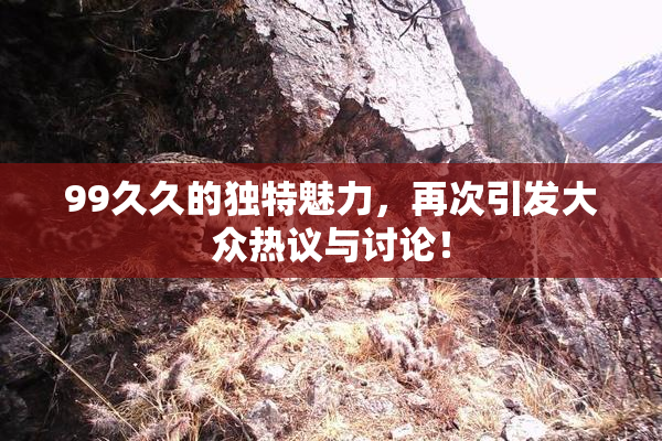 99久久的独特魅力，再次引发大众热议与讨论！