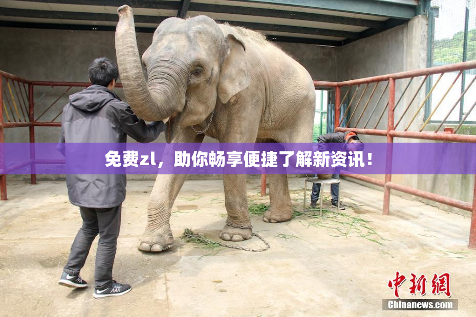免费zl，助你畅享便捷了解新资讯！