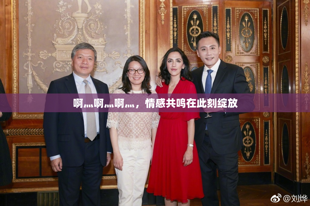 啊灬啊灬啊灬，情感共鸣在此刻绽放