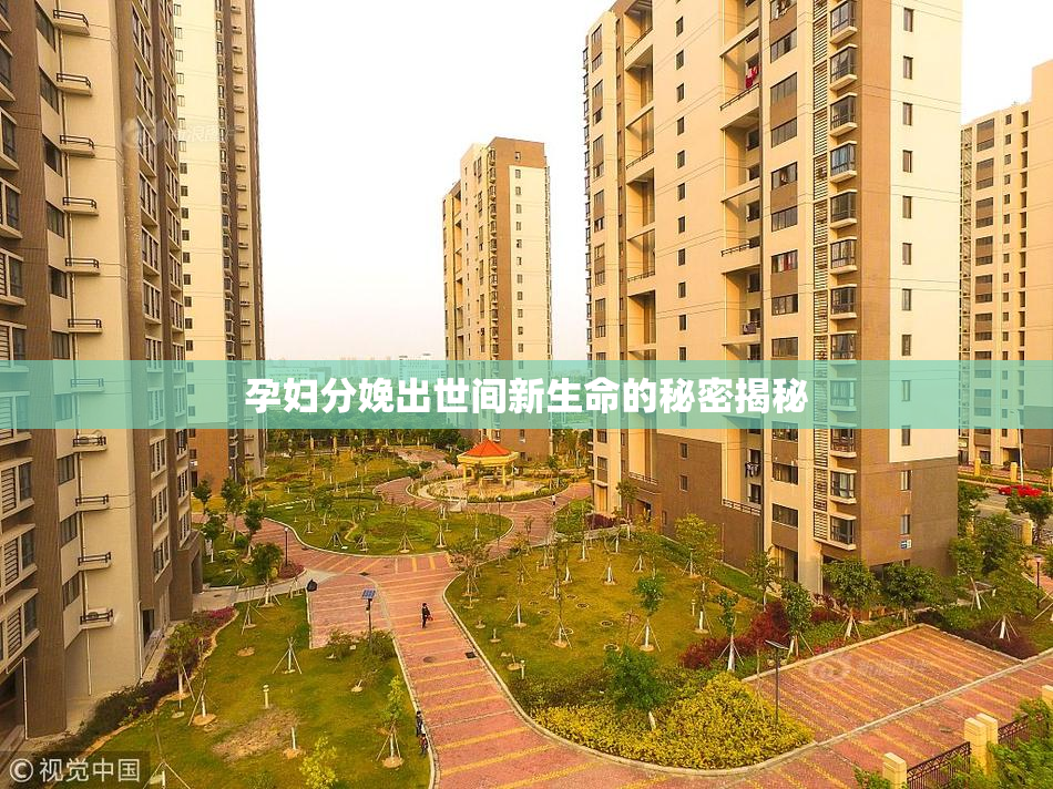 孕妇分娩出世间新生命的秘密揭秘