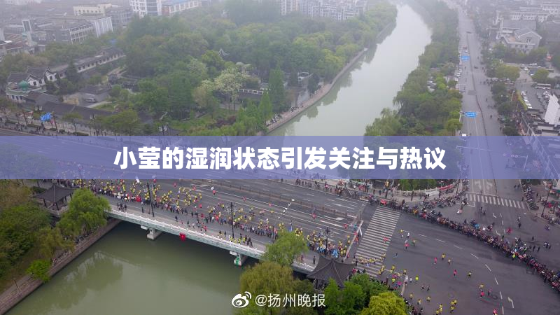 小莹的湿润状态引发关注与热议