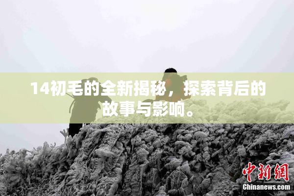 14初毛的全新揭秘，探索背后的故事与影响。
