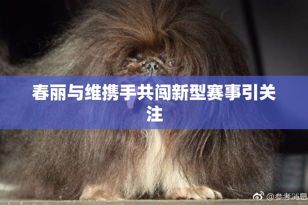 春丽与维携手共闯新型赛事引关注
