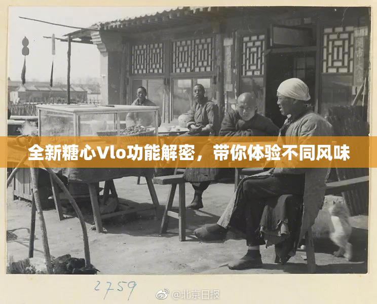 全新糖心Vlo功能解密，带你体验不同风味