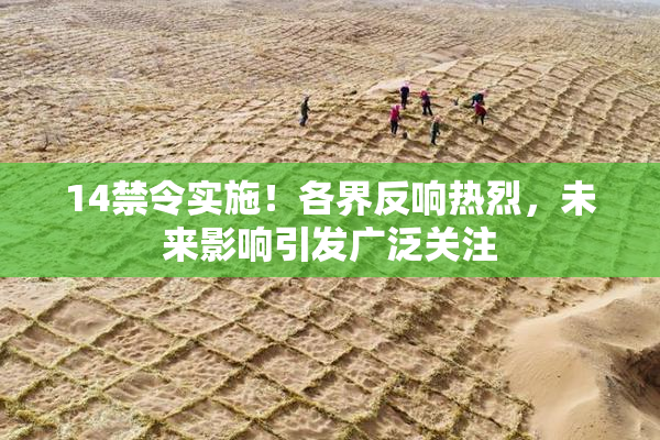14禁令实施！各界反响热烈，未来影响引发广泛关注