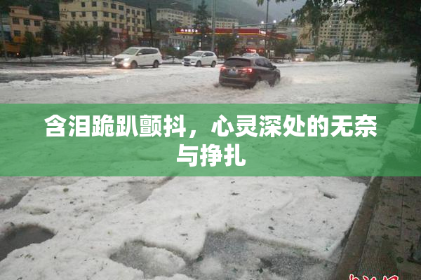 含泪跪趴颤抖，心灵深处的无奈与挣扎