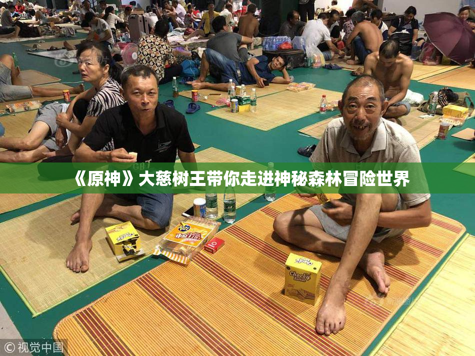 《原神》大慈树王带你走进神秘森林冒险世界